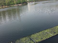 -重庆彩云湖湿地公园