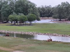 -北京麋鹿生态实验中心