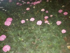 -常州古运河南大街文化旅游区-人民公园