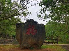 -海口火山口国家地质公园