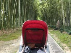 -上海市龙华烈士陵园