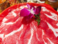 -大龙燚·旷野鲜火锅(广州首店)