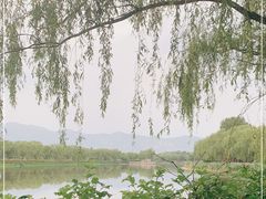 -翠湖国家城市湿地公园