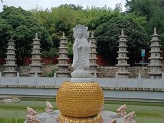 -泰山风景名胜区-普照寺