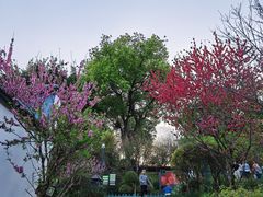 -乌山风景区