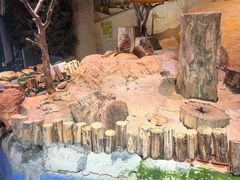 -正佳雨林生态植物园
