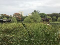 -日出青木·杭帮菜名店