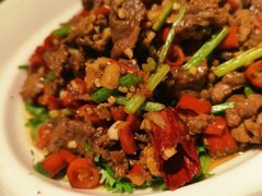 -大鸭梨烤鸭店(花园村店)