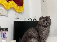 -仁普宠物诊所(住友昌盛新苑店)