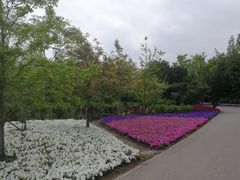 -上海滨江森林公园