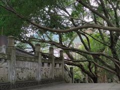 -丰都鬼城名山景区