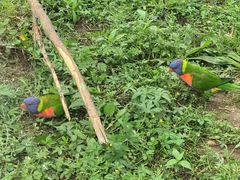 -沈阳鸟岛