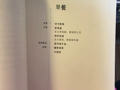 -新加坡航空公司(ION)