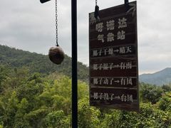 -呀诺达热带雨林