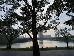 -万绿园