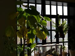 -一尺花园(安和花园店)