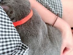 -东莞宠友24H宠物中心医院·转诊夜诊·异宠(新河北路院)