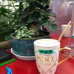 -MINX名珂斯·烫染形象设计