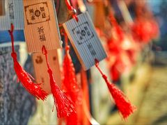 -大理地热国