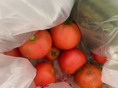 -庞各庄翠芳园西瓜蔬菜基地采摘园