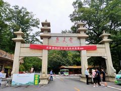 -内乡宝天曼生态旅游区