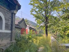 -阳台山自然风景区