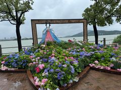 -无锡蠡湖国家湿地公园-蠡园
