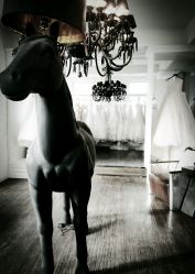 -纯色时光婚纱艺术馆WHITE