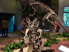 -自贡恐龙博物馆