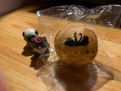 -BLACKSWAN黑天鹅(环球店)