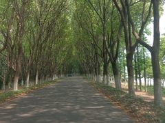 -同里国家湿地公园
