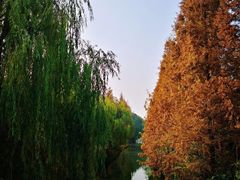 -同里国家湿地公园