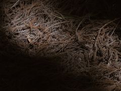 -山王坪喀斯特国家生态公园