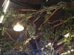 -柳州饭店·绿岛餐厅(友谊路店)