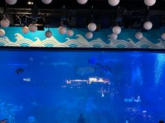 -烟台海昌鲸鲨海洋公园