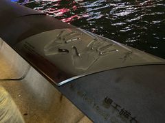 -星光大道