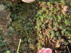 -东天目山风景区