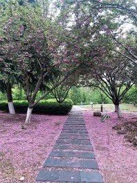 -白塘生态植物园