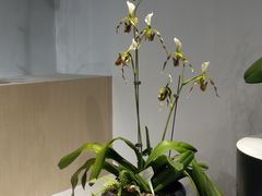 -北京植物园-展览温室