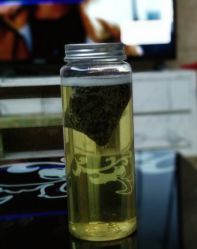 冷泡茶-鲍海兵