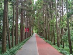 -上海长兴岛郊野公园