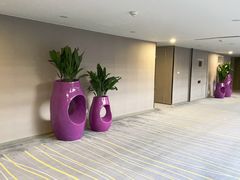 -南京禄口机场雅高铂尔曼大酒店