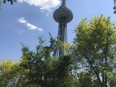 -龙塔