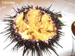 生吃海胆-万宝海鲜舫(劳动公园店)