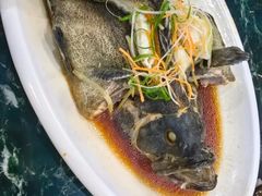 -小海豚•老字号海鲜餐厅(天涯店)