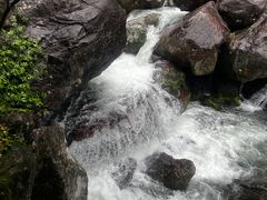 -百杖潭景区