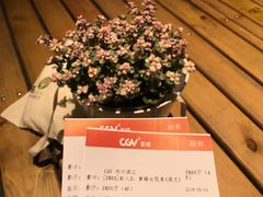 -CGV影城(滨江天街IMAX店)