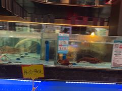 -阿伟海鲜楼·福建菜(延寿店)
