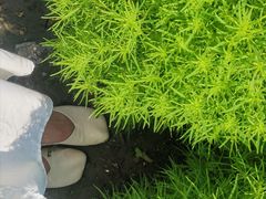 -映月湖中央公园