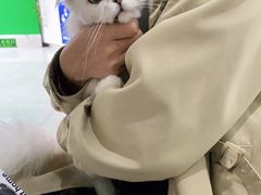 -瑞鹏瑞爱宠物医院·全科·猫科·血液透析中心(龙头寺店)